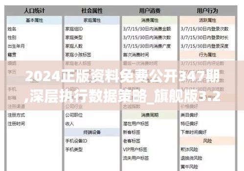 ＂2024正版資料免費(fèi)公開(kāi)＂的：高效執(zhí)行方案_商務(wù)版1.49