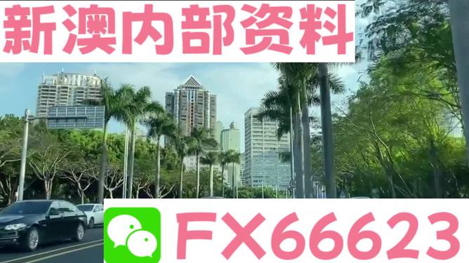 ＂新澳精準(zhǔn)資料免費(fèi)提供網(wǎng)站有哪些＂的：決策支持方案_車載版8.8