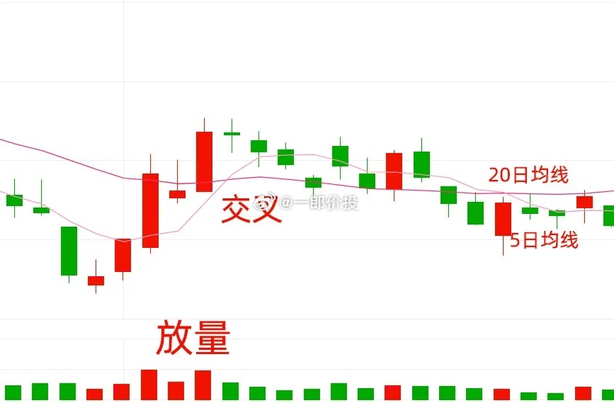 股票叉叉，投資新策略還是風險博弈？