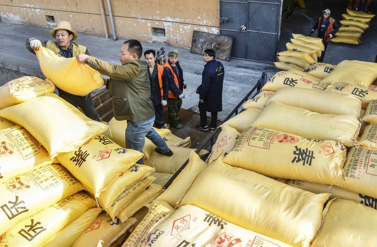 全國(guó)尿素最新價(jià)格，科技重塑生活下的新面貌