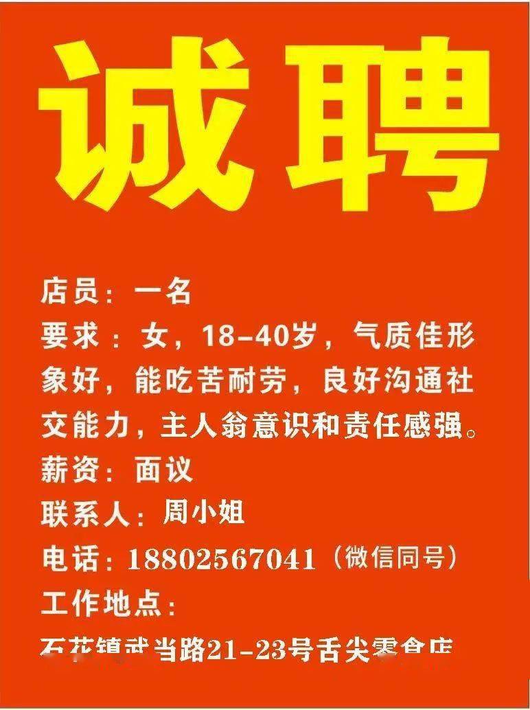 金正陽最新招聘信息發(fā)布，職位空缺及申請指南